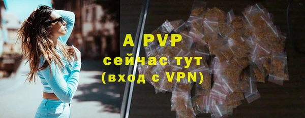 дмт Новодвинск