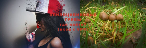 COCAINE Новозыбков