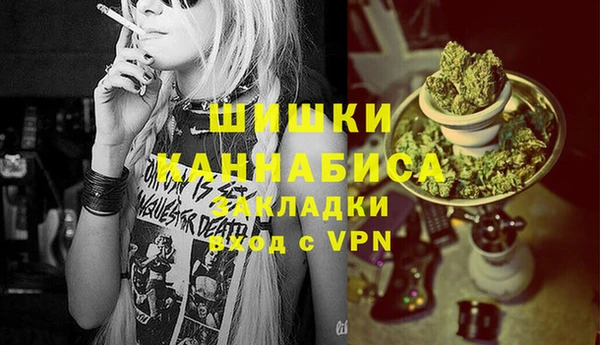 дмт Новодвинск