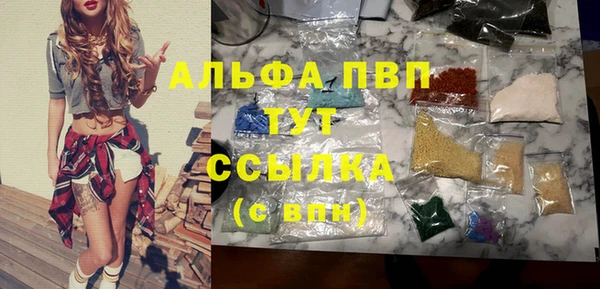 дмт Новодвинск