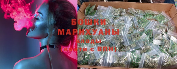 дмт Новодвинск