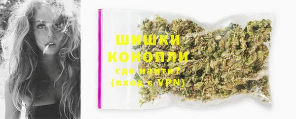 дмт Новодвинск