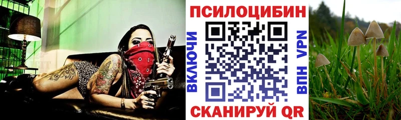 Галлюциногенные грибы Psilocybine cubensis  Абаза 