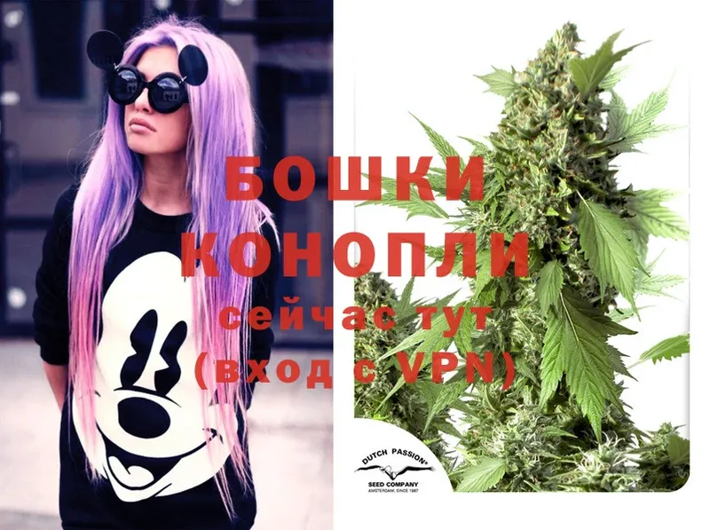 Шишки марихуана LSD WEED  ссылка на мегу ТОР  Абаза 