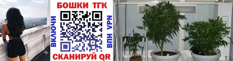 Каннабис ГИДРОПОН  ОМГ ОМГ как зайти  Абаза 